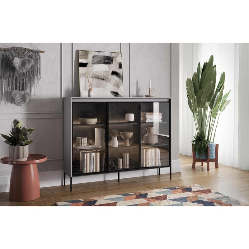 Witryna Trend TR8SC szara czarna Lenart