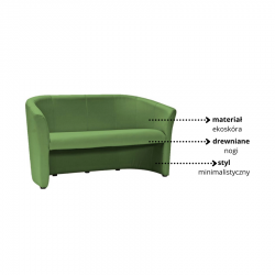 Minimalistyczna sofa TM-3 zielona ekoskóra/wenge