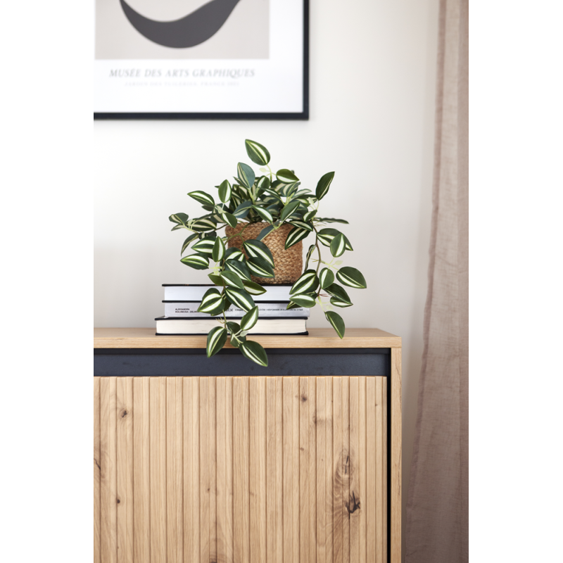 Komoda Trend TR2DAC Dąb Artisan Lenart