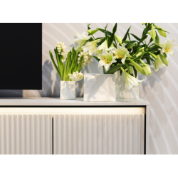 Szafka RTV Trend TR5BIC biała Lenart