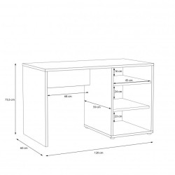 Biurko Canmore CNMB211R C273 Meble Forte