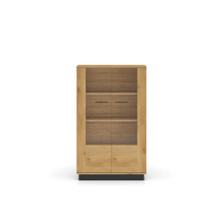 Witryna Modesto 03 dąb stylowy/czarny ML Meble