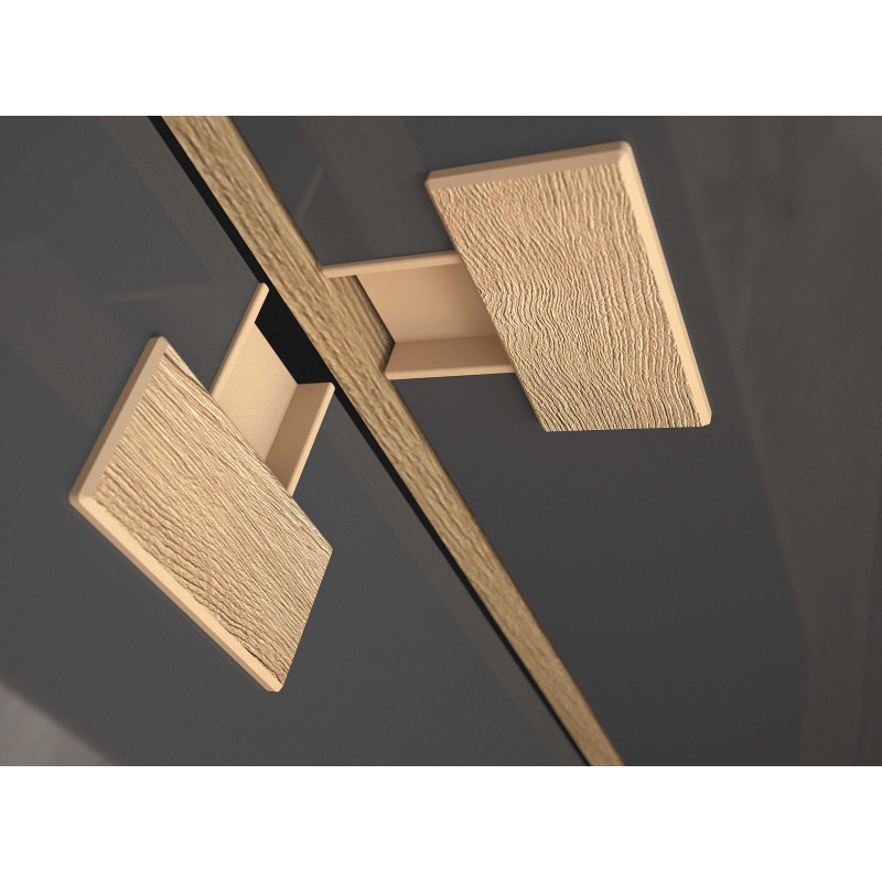 Szafa 01 z kolekcji Index Meble Domel