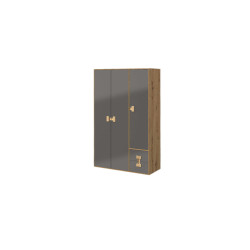 Szafa trzydrzwiowa 04 z kolekcji Index Meble Domel Szafa trzydrzwiowa 04 z kolekcji Index Meble Domel