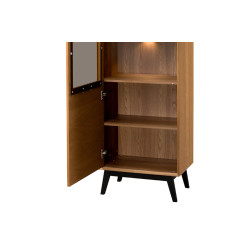 Witryna 1-drzwiowa Lewa z Oświetleniem Lazure Typ 10 Szynaka