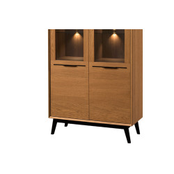 Witryna 2-drzwiowa z Oświetleniem Lazure Typ 10 Szynaka Meble