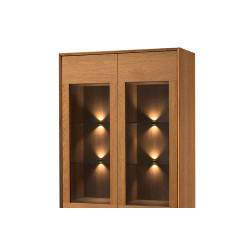 Witryna 2-drzwiowa z Oświetleniem Lazure Typ 10 Szynaka Meble