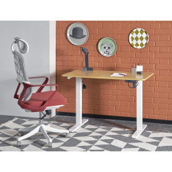 B53 biurko biurko z funkcją regulacji wysokości, dąb złoty / B53 biurko biurko z funkcją regulacji wysokości, dąb złoty /