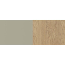 Jednodrzwiowy regał Alessio AE05 eukaliptus/dąb baltic dune