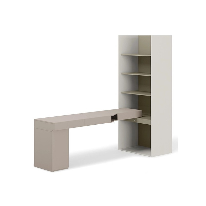 Zestaw młodzieżowy SET-WOS9LE z biurkiem i regałem