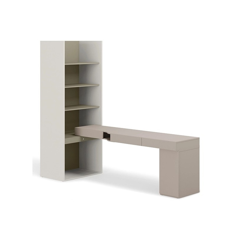 Zestaw młodzieżowy SET-WOS9LE z biurkiem i regałem