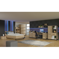 Biurko Oriental Tree 1D1S Dąb Bartex / czarny Forte