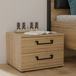 Szafka nocna Oriental Tree 2S Dąb Bartex / czarny Forte