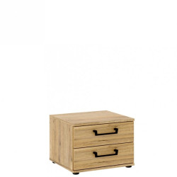 Szafka nocna Oriental Tree 2S Dąb Bartex / czarny Forte