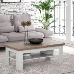 Stolik kawowy Iloppa EPLT501-J99 Dąb śnieżny / Dąb Nelson Forte