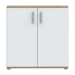 Komoda 2D NET106 IKLK222-C804 Dąb Artisan/Biały Meble Forte