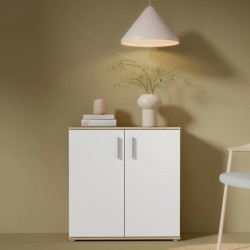 Komoda 2D NET106 IKLK222-C804 Dąb Artisan/Biały Meble Forte