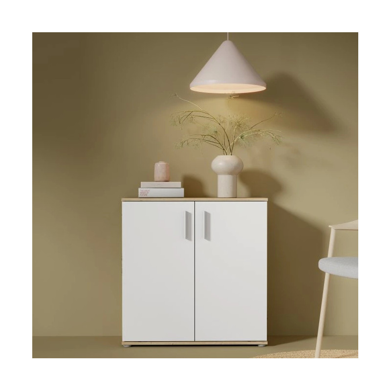 Komoda 2D NET106 IKLK222-C804 Dąb Artisan/Biały Meble Forte