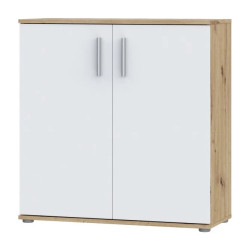 Komoda 2D NET106 IKLK222-C804 Dąb Artisan/Biały Meble Forte