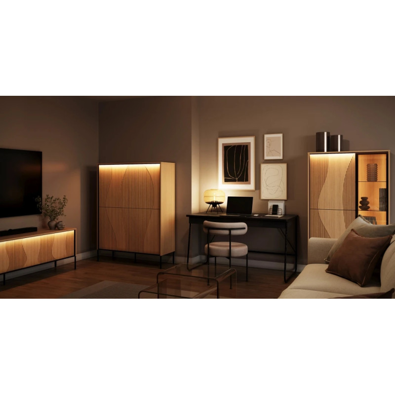 Szafka RTV czterodrzwiowa FW-05 Flow Dąb Vincenza Bielona/Czarny Lenart