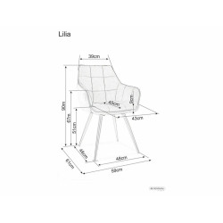 Krzesło Lilia Velvet czarny stelaż/szary bluvel 14