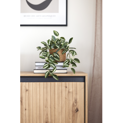 Szafka RTV Trend TR6DAC Dąb Artisan Lenart