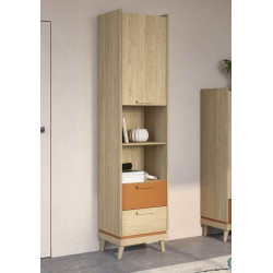 Regał Scandi Typ 88 Dąb Olejowany/Ceglany Helvetia Wieruszów