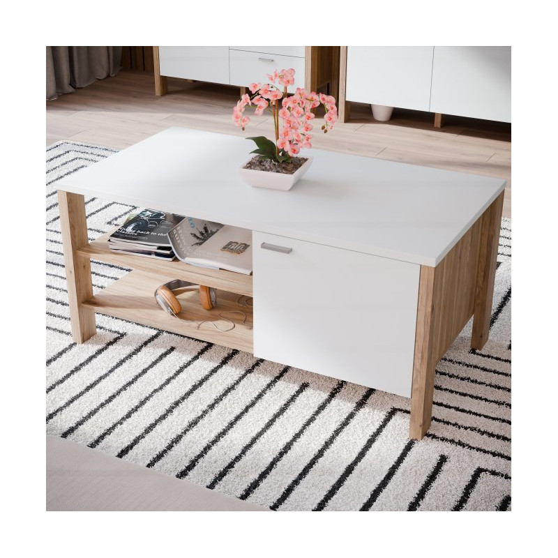 Stolik kawowy prostokątny 110x60 Saitama CFTT5172 dąb mauvella/secret grey