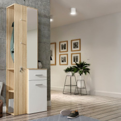 Panel z lustrem oraz szafką do przedpokoju Lothal CHQD01 beżowy/biały