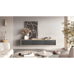 Szafka RTV z opcją podwieszenia Frida Typ 38 Dąb olejowany/Antracyt Helvetia Wieruszów