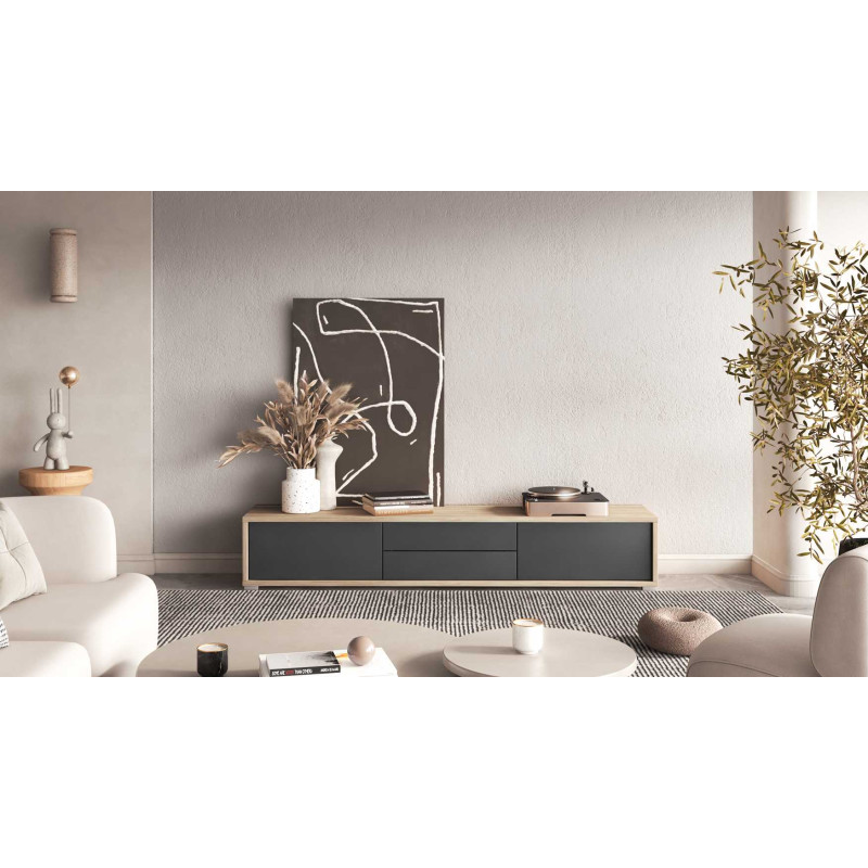 Szafka RTV z opcją podwieszenia Frida Typ 39 Dąb olejowany/Antracyt Helvetia Wieruszów