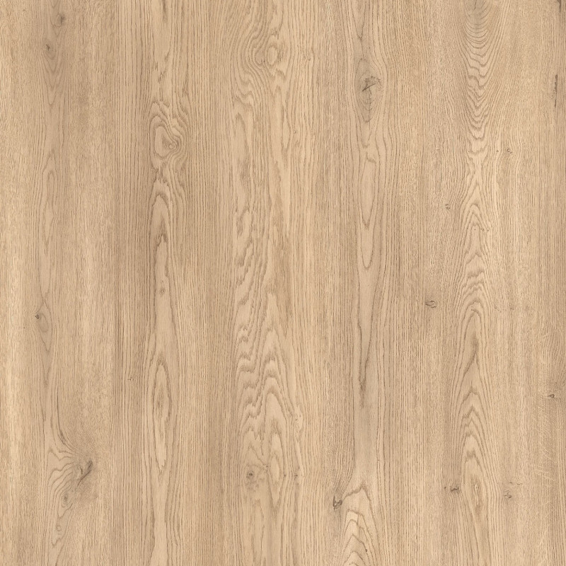 Witryna G-4 Grande Dąb Cremona | Domowanie.pl