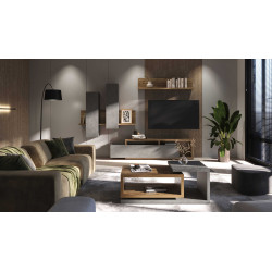 Meblościanka Bota Typ 09 Appenzeller/Matera Helvetia Wieruszów