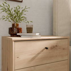 Niska komoda z szufladami Archbox T2KK011 | kolor dąb artisan