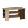 Stolik kawowy 100x60 cm Arank CFTT5242 dąb mauvella/czarny