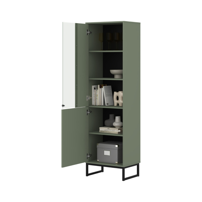 Witryna do salonu Loft Typ 05 zielona – nowoczesny design