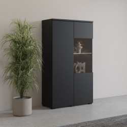 Witryna do salonu Modo Helvetia 44 czarny onyx – kup teraz online